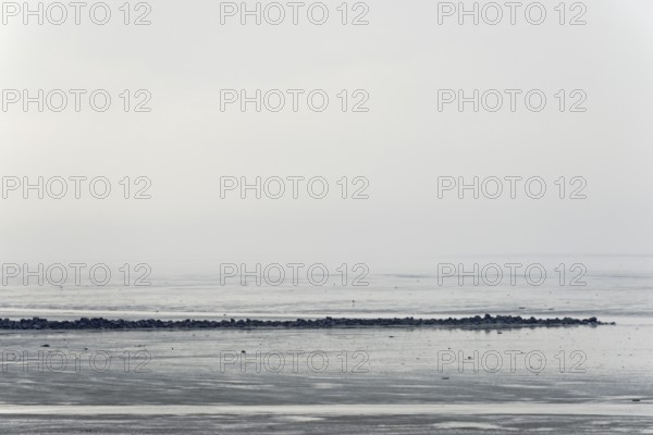 North Sea coast, cloudy winter day, Wadden Sea at low tide, stone groyne as coastal protection,