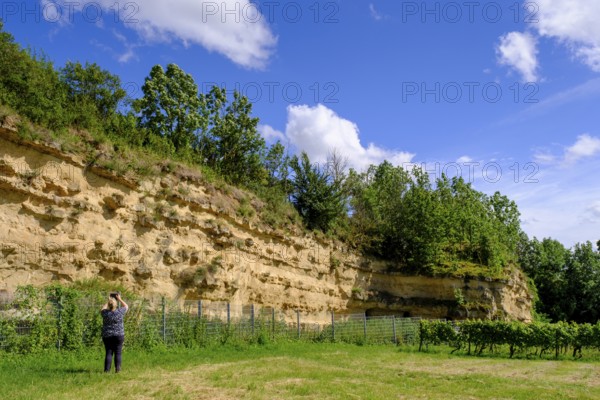 Weinheimer Trift natural monument, near Alzey, Rhine-Hesse region, Rhineland-Palatinate, Germany