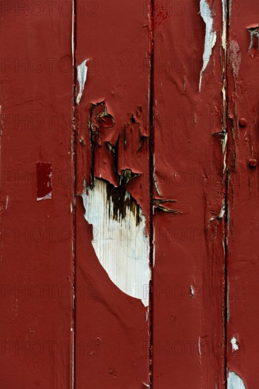 A close-up view captures the peeling red paint on a wooden surface, showcasing intriguing textures