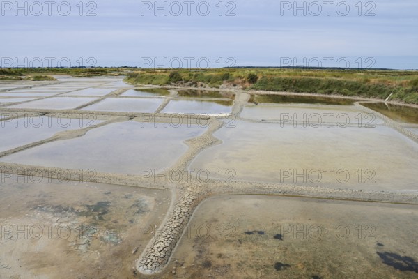Seawater salt pans, Guerande, Loire-Atlantique, Pays de la Loire, Brittany, France