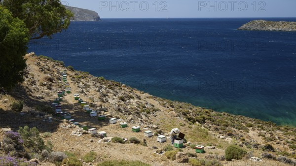 Row of beehives in stony surroundings with a view of the blue sea, chapel, small church, Agia