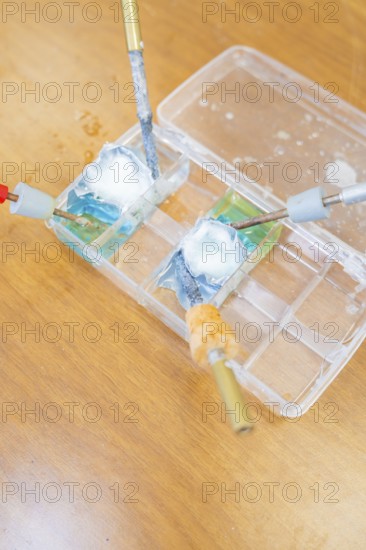 Wires and electrodes in liquid dishes on a laboratory bench, Battery Research, Nagold, Germany