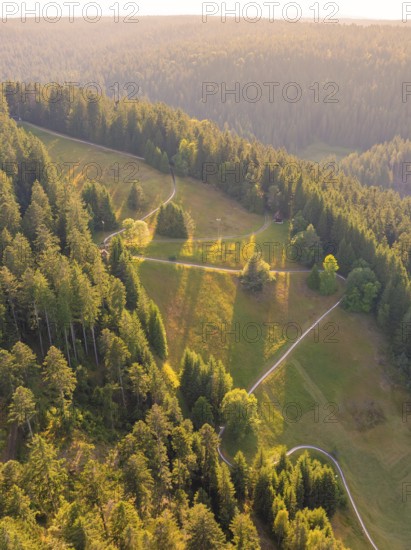 Hilly forest landscape with meadows and bright sunlight on paths, Retro Freizeitpark Poppeltal