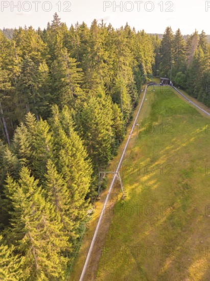 Wooden harrier in the forest with an elongated area along a winding path, Retro Freizeitpark