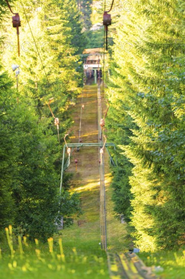 A ski lift running through a dense, green forest, surrounded by trees in the summer light, Retro