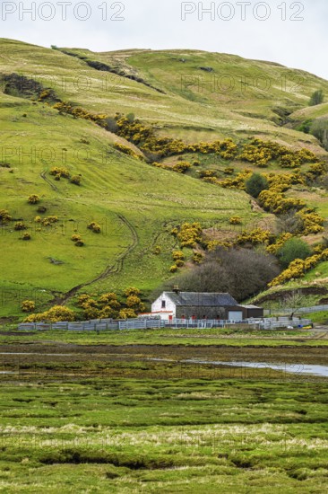 Farms over Loch Harport, Drynoch, Isle of Skye, Scotland, UK