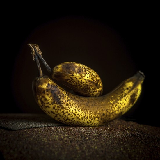 Two ripe bananas, one larger and one smaller, showcase their dark speckled skins. Positioned on a