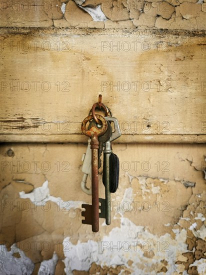 A collection of rusty keys hangs from a metal ring against a weathered wooden backdrop. The peeling