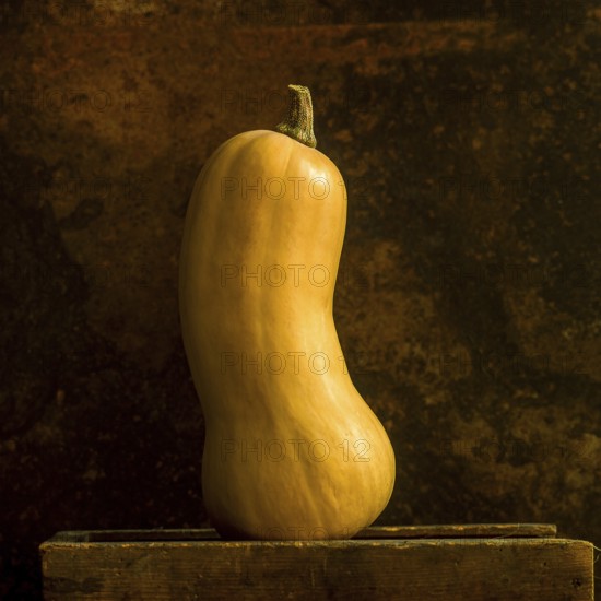 A butternut squash stands upright, showcasing its sleek curves and warm hues. The background's rich