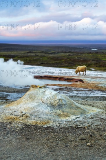 Fumarole, Solfatare Öskjuholt, steaming sinter cone, lime sinter, sulphur vapour, Hveravellir
