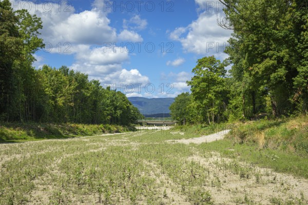 Wide dry riverbed of the Schwarza with a view of mountains, Neunkirchen, Lower Austria, Austria