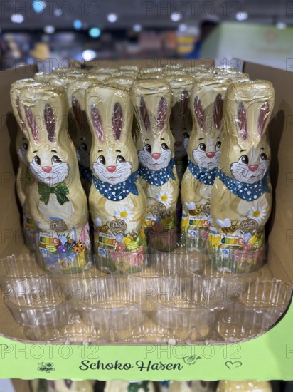 Cardboard chocolate bunnies in retail, empty spaces in the front in a plastic batch of sweets,