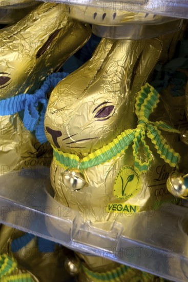 Chocolate bunny chocolate Easter bunny with button marking VEGAN award made from vegan chocolate,