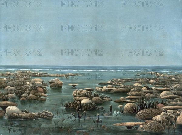 Woody Island, small island about 25 kilometers northeast of Port Douglas on the Coral Sea coast in