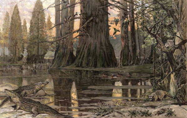 Landscape with crocodiles on the Mississippi River, America, authentic reproduction of a school