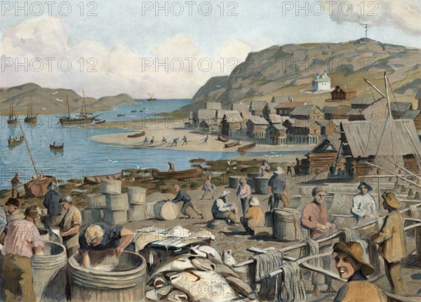 Sea fishing and fish processing, Baltic Sea, here in Poland, authentic reproduction of a school