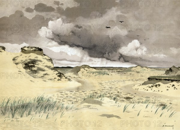 Sand dunes in Veluwe on a mountain range in the province of Gelderland directly southeast of the