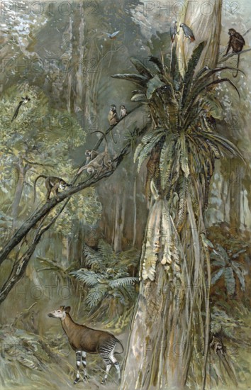 Prehistoric jungle on the coast of Guinea, West Africa, authentic reproduction of a school mural,