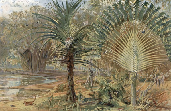 Prehistoric jungle in Madagascar, Africa, authentic reproduction of a school mural, historical,