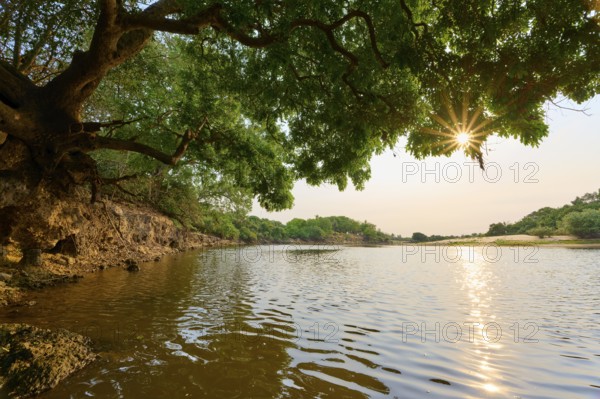 Sun rays break through the trees on the riverbank, picturesque landscape with calm water in the