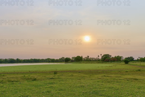Tranquil landscape at sunrise with a lake, green trees and a clear sky, Fazenda Barranco Alto,