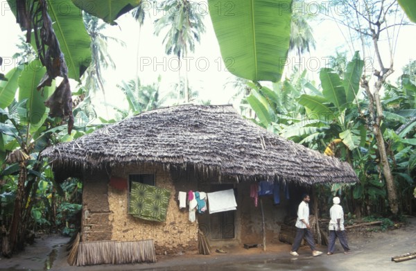Mud hut between banana trees in the jungle, Zanzibar, Tanzania, Africa, June 2000, vintage, retro,