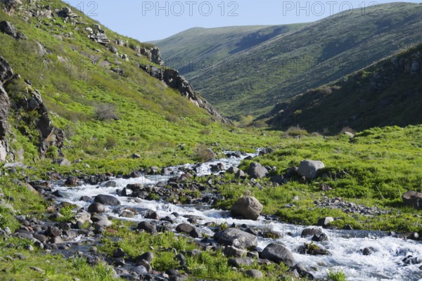 Clear mountain river snakes through a green valley between stony slopes, Amberd Gorge, Aragazotn