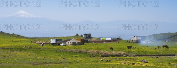 Pasture landscape with horses, tents and views of Mount Ararat in the background, nomads, tents and