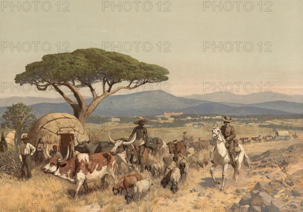 Shepherds with flock in the steppe near Windhoek, German colony, Namibia, authentic reproduction of