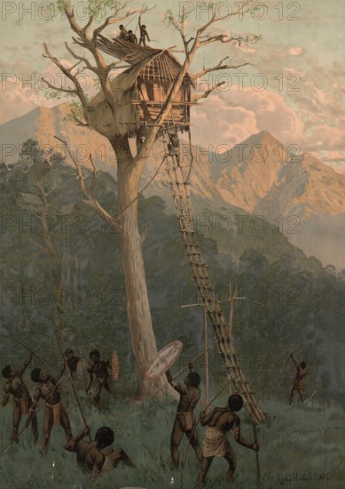 Tree house in the German colony Kaiser Wilhelmsland, New Guinea, authentic reproduction of a school