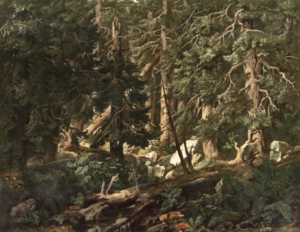 Jungle landscape in Bohemia, today Czech Republic, Czech Republic, authentic reproduction of a