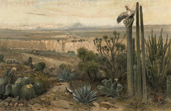 Landscape in the Highlands of Mexico, authentic reproduction of a school mural, historical, around