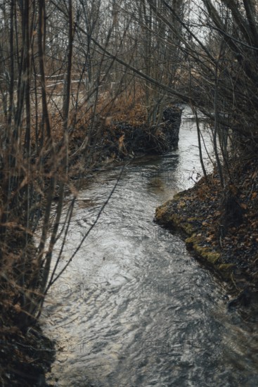 A small stream flows between bare trees, a quiet nature scene in winter, Ternitz, Lower Austria,