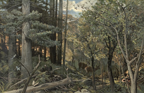 Forest in the Allegheny Mountains, Appalachian region, stretches south-southwest more than 800 km