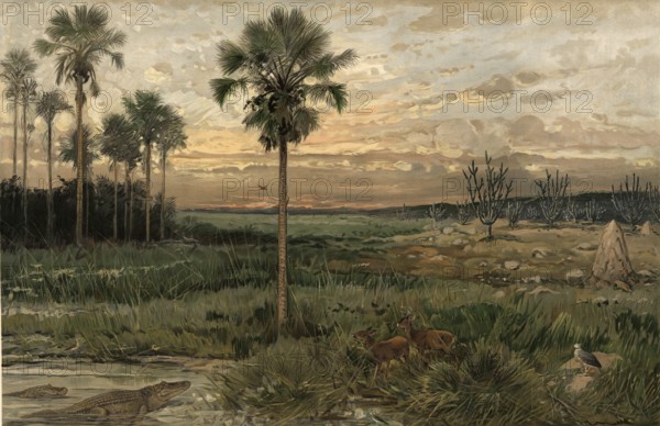 Llanos, wide plains in northern South America, which are mainly characterized by humid savannas,