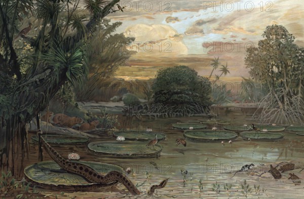 Landscape in Urwlad of Guiana, South America, authentic reproduction of a school mural, historical,
