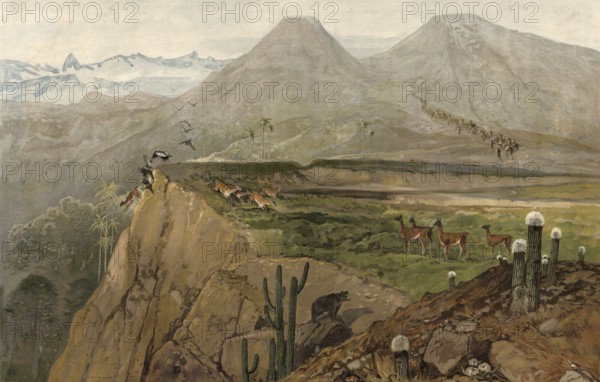 Landscape in the Cordilleras, Cordillera, American Cordillera from North to South America,