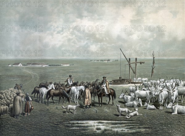 Shepherds with cattle and sheep at a well on the Puszta in Hungary, authentic reproduction of a