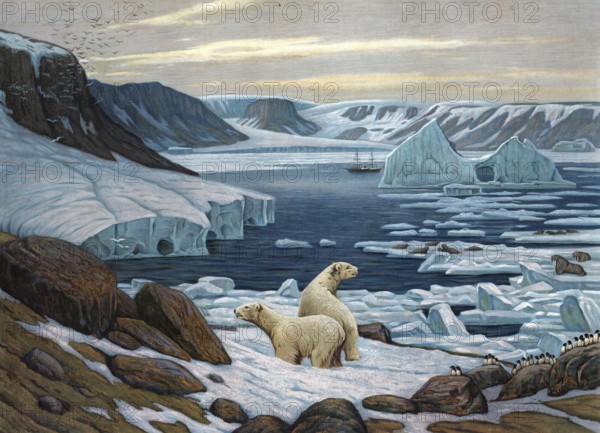 Polar Landscape with Polar Bears, Arctic, Authentic Reproduction of a School Mural, Historic,