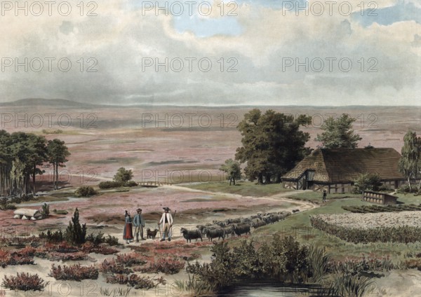 Shepherd in the LÃ¼neburger Heide, Lower Saxony, Germany, authentic reproduction of a school mural,