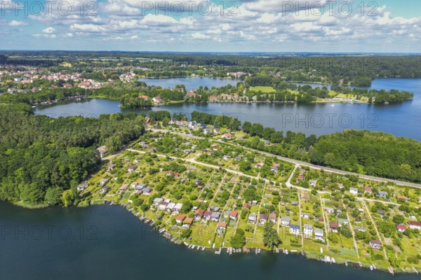 Aerial view, drone photo: Allotment settlement between Feldberger Haussee and Schmaler Luzin,