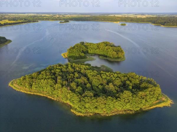 Aerial view, drone photo: Steinwerder and Bollenwerder islands, Carwitzer See, Carwitz, Feldberger