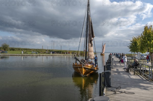 Historic sea boat, formerly used for sailing fishing, arrives at the port of Ahrenshoop,