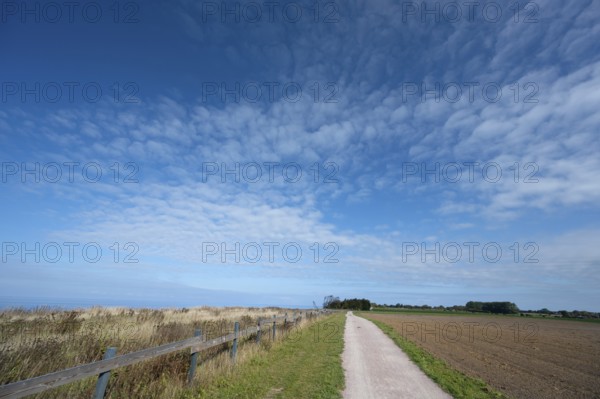 Hiking trail on the steep bank between Ahrenshoop and Wustrow, Wolkenhimmel, DarÃŸ,