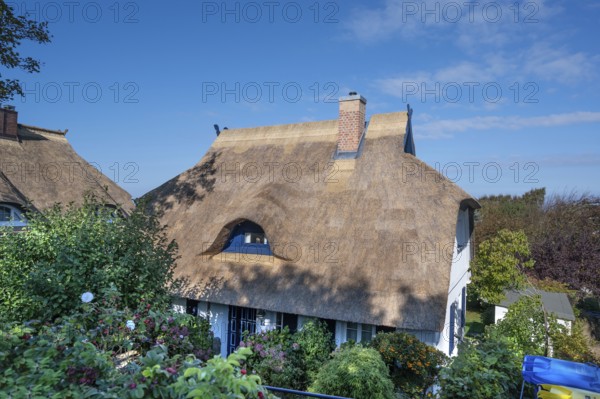 Private residential house with thatched roof, Ahrenshoop, DarÃŸ, Mecklenburg-Western Pomerania,