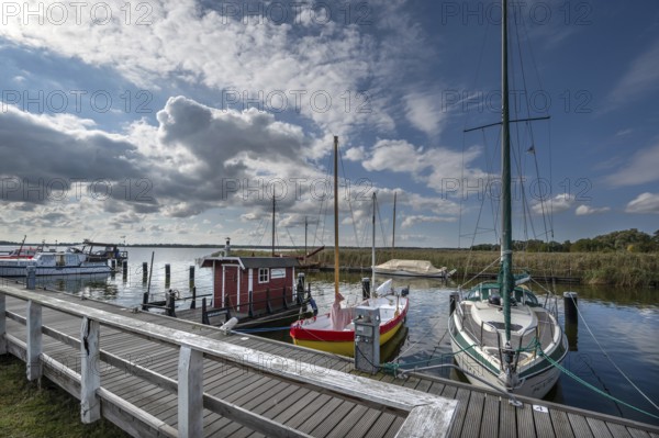 Sailing boats in the port of Wustrow, DarÃŸ, Mecklenburg-Vorpommern, Germany