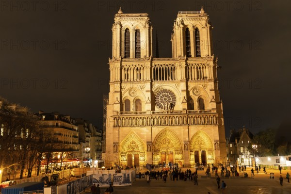 Notre dame cathedral stands illuminated, showing its prominent gothic architecture and intricate