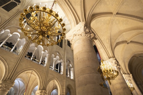 Notre dame cathedral interior showcasing large ornate golden chandeliers illuminating the grand