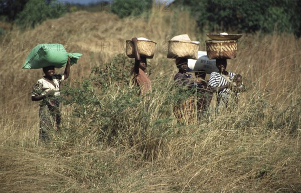 Women balancing baskets on their heads, Bwangu Mzimba, Malawi, Africa, June 2000, vintage, retro,