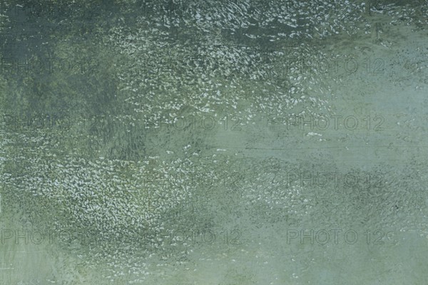 Photo background, colored, textured, heterogeneous background, wallpaper, surface, Dirty green,